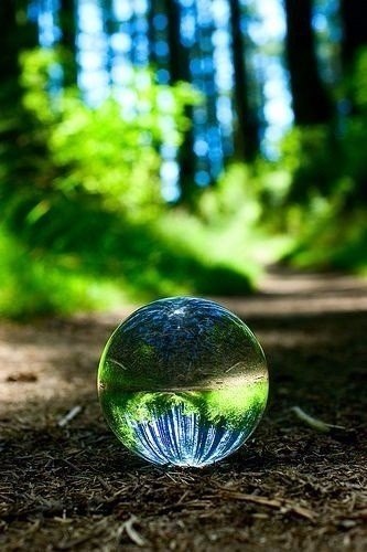    ,    .    ,     . - 2