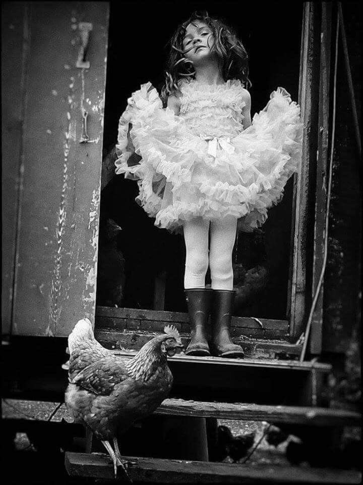    ...,      -*  *!... ...