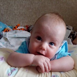 ����, �����, 37 ���