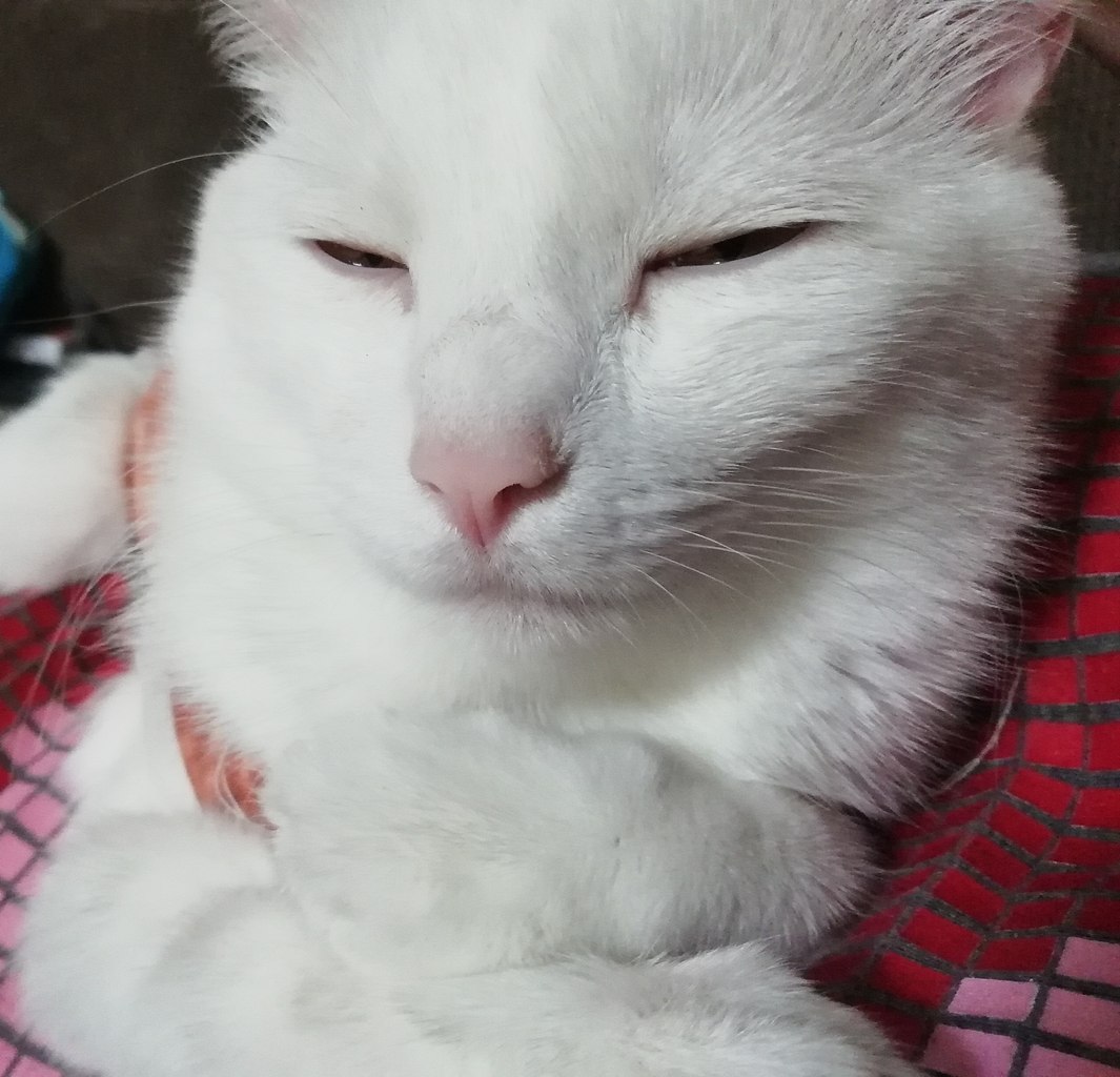 #_.              . ... - 4