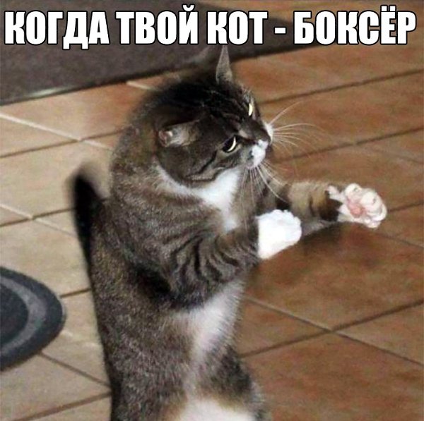    :D - 18  2019  17:06