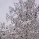 ���� �����_, ������, 50 ��� - ��������� 13 ������� 2019 � ������ ������ ��������