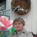 ���� �����, �����, 63 ���� - ��������� 8 ������� 2018 � ������ ���� ����������