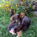  ,  -  12  2018   ...