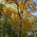      .    .    ,  ,    ,    ..          ...       -        ,    .  ,  -        ...     .    