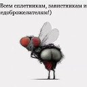 ���� ����, �������� - ��������� 12 �������� 2018 � ������ ���� ����������