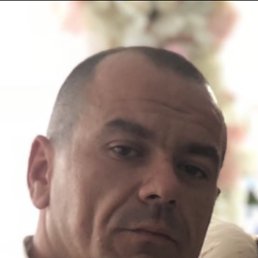 , , 51 
