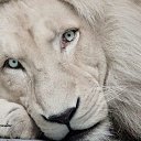 ���� ����, ������, 47 ��� - ��������� 3 ������ 2019