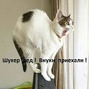 ���� ������ ������, ��������, 60 ��� - ��������� 15 ������ 2019 � ������ ���� ����������