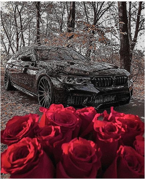   - 13  2019  16:56