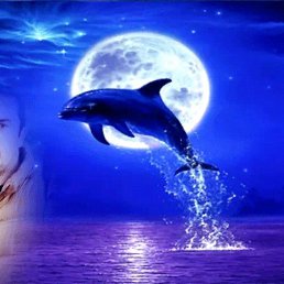 ���� ����������, �����-���������, 36 ��� - ��������� 27 �������� 2018