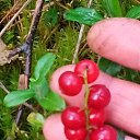  , , 60  -  13  2018    ,  .  2018.