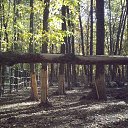 ���� ������, ��������� - ��������� 16 ������� 2018 � ������ ������ ������� �����������