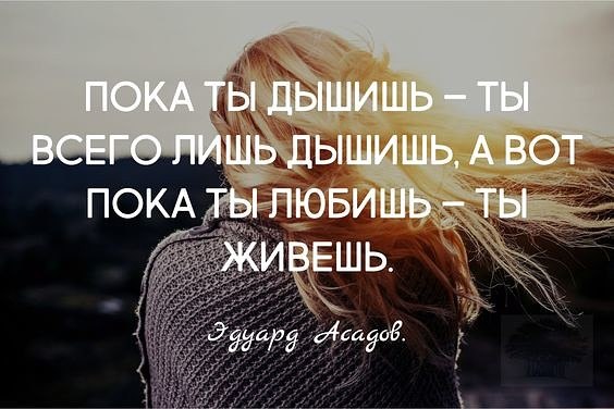 - 29  2019  19:56