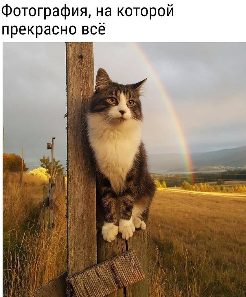       - 18  2018  16:58