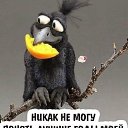 ���� �������, ������ ���, 67 ��� - ��������� 24 ������ 2018 � ������ ���� ����������