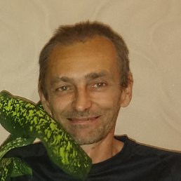 ������, ���������, 58 ���