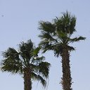 ���� ��������, ������, 78 ��� - ��������� 8 ������ 2019 � ������ ������ ��������