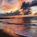  , , 66  -  20  2019   ..