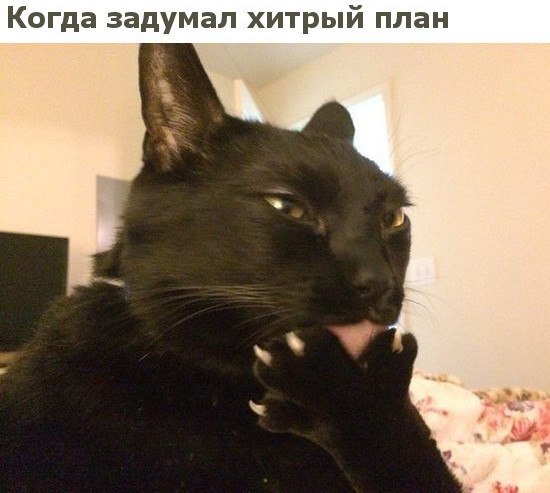    - 15  2019  03:50