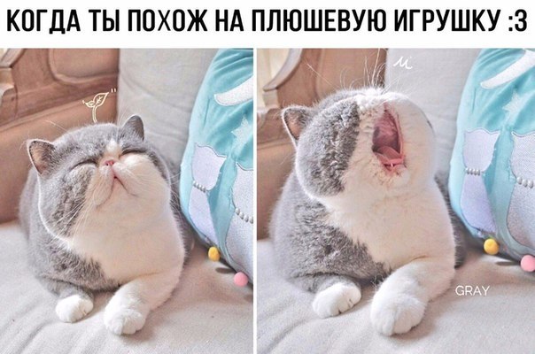    - 1  2019  17:04