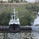 ���� �������, �����������, 51 ��� - ��������� 2 ����� 2019 � ������ ����� 2018�