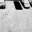 ���� ��������, ������, 55 ��� - ��������� 3 ������ 2019 � ������ ������ ��������