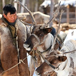 �, ������������, 28 ���