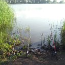 ���� �������, �������, 37 ��� - ��������� 8 ������ 2019 � ������ ���� ����������