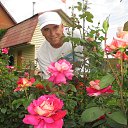 ���� ������, ������ - ��������� 8 ������� 2018 � ������ ���� ����������