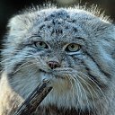 ���� ���������, �����, 53 ���� - ��������� 27 ���� 2018 � ������ ���� ����������