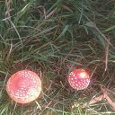 ���� ���, �������, 48 ��� - ��������� 26 ������� 2018 � ������ ���� ����������