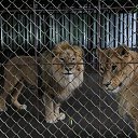 ���� �����, �������, 55 ��� - ��������� 27 ������ 2019 � ������ ���� ����������