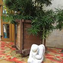 ���� Lina, ������ - ��������� 17 �������� 2018 � ������ ������ �������