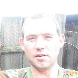 Dominik, ������, 42 ����