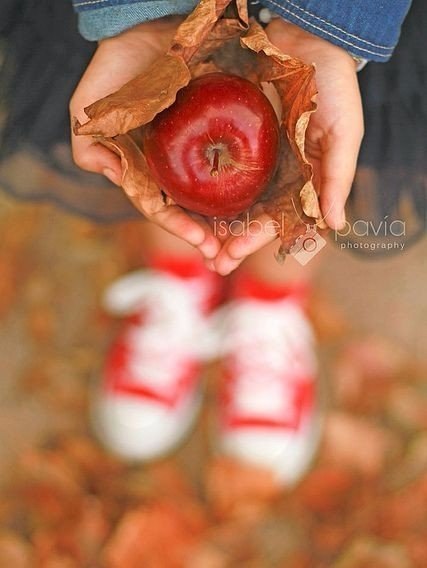     ,       . ,  ,  ... - 2