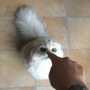 ���� �����, ������� - ��������� 13 ������� 2019 � ������ ������ ��������