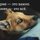  , , 57  -  13  2018          ...