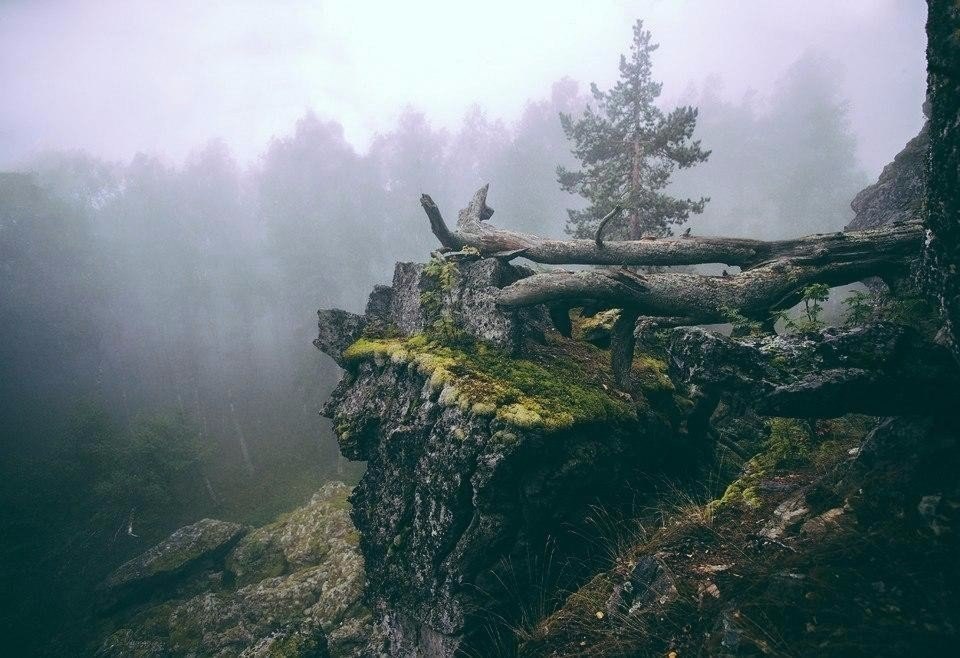 , 