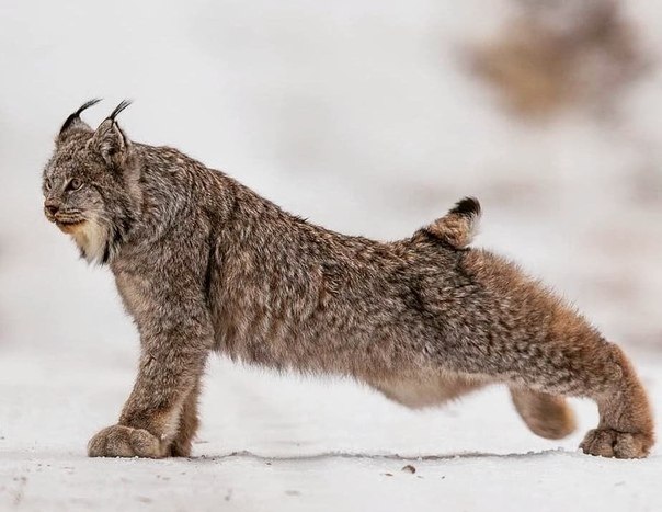 ~**~ - 27  2019  21:34