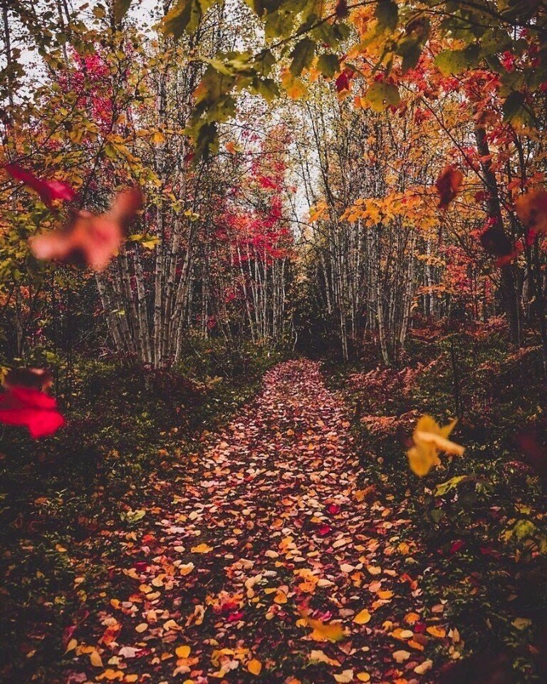    ,    -