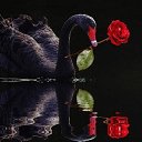 ���� L, ������� - ��������� 19 ������� 2018 � ������ ������ ��������