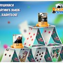 ���� �������, ��������, 65 ��� - ��������� 25 ������ 2019 � ������ �������� �������-�������