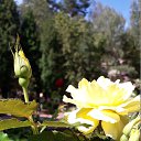 ���� ���������, ������ - ��������� 14 ������� 2018 � ������ ����ۻ