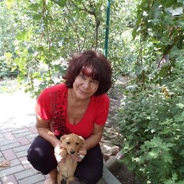 �������, ����������