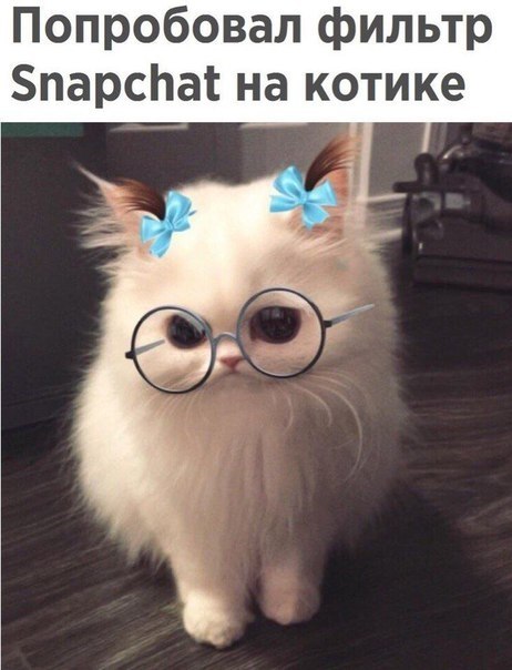    - 10  2019  17:15