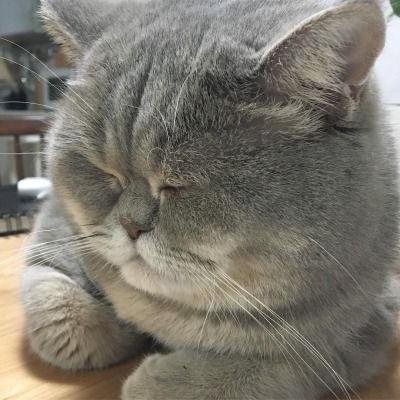 :   - 3