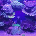  , , 42  -  17  2018   Timeline Photos