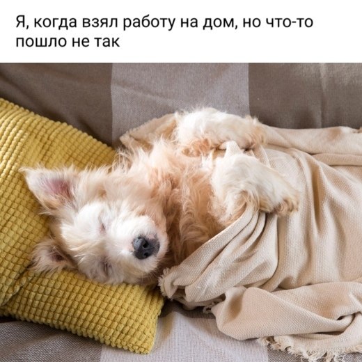   - 26  2019  16:46