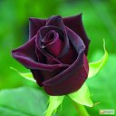 ���� �����, ������ - ��������� 22 ������ 2019 � ������ ������